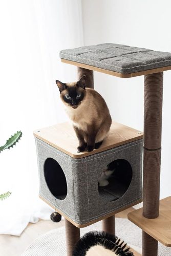 Three-Level Elevated Cat Tree Condo with Massage: A Haven for Your Feline Friends