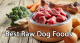 Best Raw Dog Foods 2025