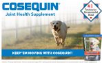 Nutramax Laboratories Cosequin Maximum Strength Joint Health Supplement for Dogs